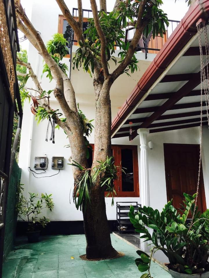 尼甘布House Of Seya住宿加早餐旅馆 外观 照片